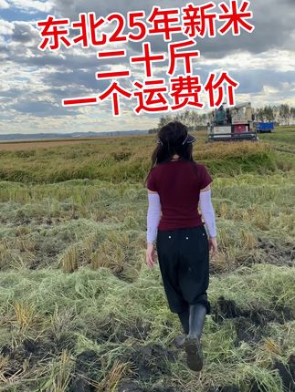 #粮农膳稻 2025新米上市!绿色食品,东北长粒香米。新米限时福利价,口感软糯香甜。健康天然好大米,福利数量有限!快快点击小黄车吧!#长粒香 #东北大米 #东北通河大米最好吃 #绿色食品