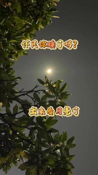 怀民啊,睡没睡?没睡起来压马路呀?