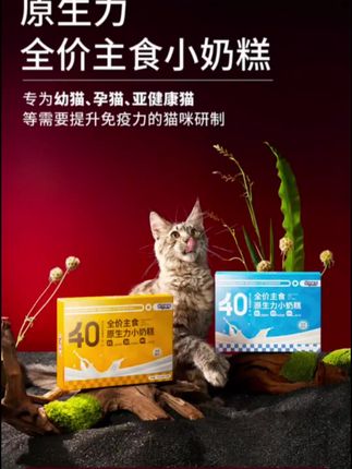 想要猫咪身体好,乳铁蛋白少不了~ 全面营养,增强体质~#怪兽故事 #原生力小奶糕 #新手养猫 #猫罐头 #萌宠好物