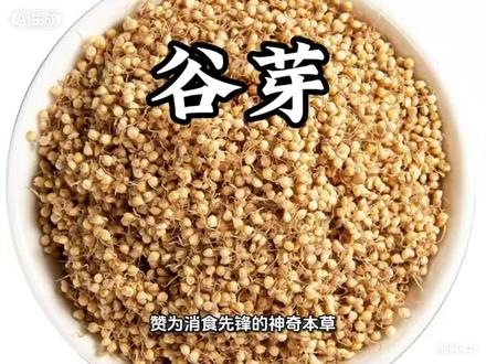 一味中药,一个故事#涨知识 #老祖宗的智慧 #食疗小妙招 #本草