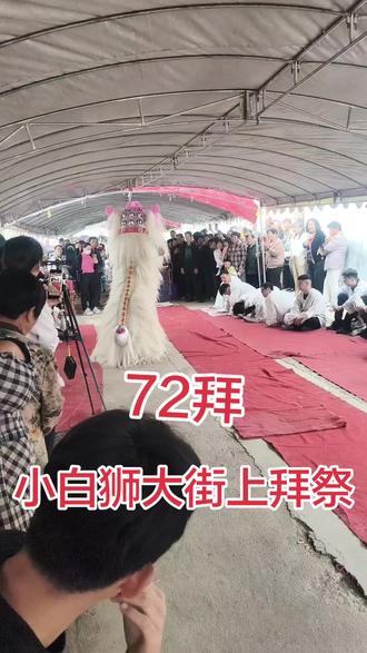 大街上行大礼,小白狮72拜,把人都拜哭了