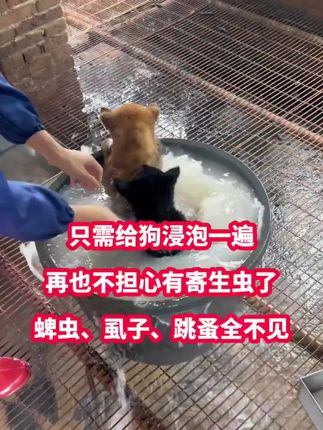 从小告诉孩子做个有教养的人,以后无论走到哪里都受欢迎#亲子教育 #家长必读 #正确的引导孩子陪伴孩子 #孩子教育 #育儿育己