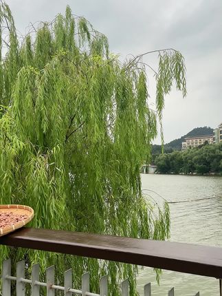 新货腰果根本没有你们想象的那么贵,都是新货A170特大的,鲜香酥脆价格实惠,喜欢的来看看吧#腰果 #源头工厂 #坚果 #办公室零食