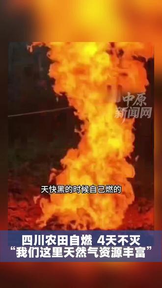 四川农田自燃 4天不灭火焰两三米 四周拉警戒线 #四川农田自燃#火焰两三米#拉警戒线