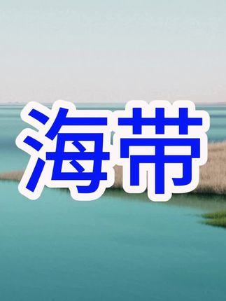 霞浦整条干海带