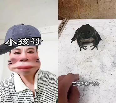 #搞笑视频沙雕 #创作者中心 #创作灵感 @抖音创作小助手 你们都知道这些动物的声音是怎么叫的吗!