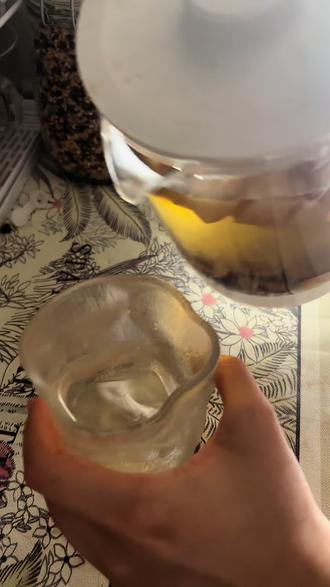 很温润又没负担的苹果黄芪水 不加糖喝起来还清甜,比奶茶健康低卡多了!女生宝宝多多喝!#爱上喝热水 #减脂期 #补气血养颜