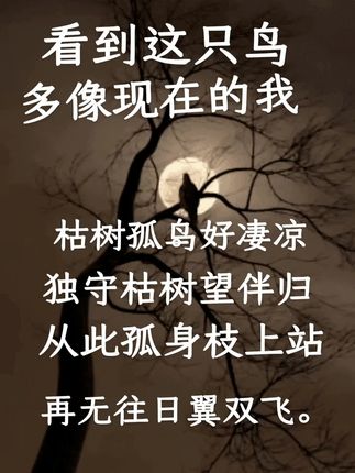 #落星不掩月光辉