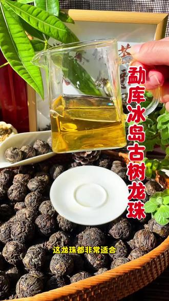 新老茶客必喝的一款茶,冰岛古树龙珠生茶,滋味鲜爽甜润#冰岛龙珠 #勐库冰岛 #普洱 #生茶