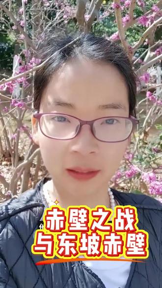 赤壁之战与东坡赤壁的区别#念奴娇·赤壁怀古#赤壁赋#苏轼