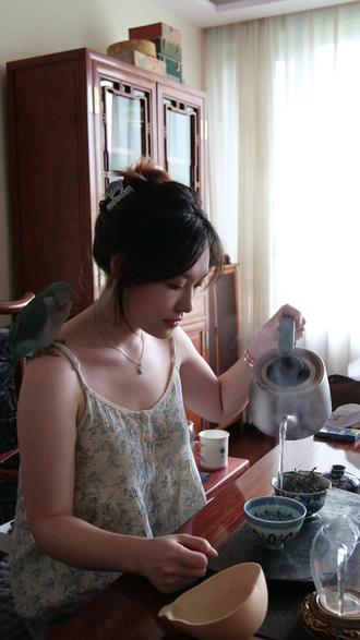 如果你实在没有喜欢做的,那就从喝茶开始吧 #茶人茶生活 #茶生活 #东三省茶叶头子 #原创作品 #抖音二创激励计划