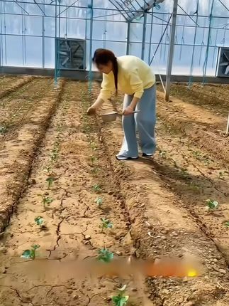 2袋装【每袋500克】撒施型颗粒用于瓜果蔬菜农作物#防虫颗粒 #植物 #庄稼人 #种植小妙招