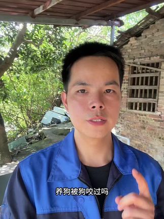 养狗被狗咬过吗?如何避免被咬#宠物成精啦 #新手养狗 #防护手套 #防咬手套 #养狗的乐趣