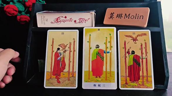 新手塔罗教程之权杖三#塔罗#塔罗教程 #塔罗牌教学 #塔罗入门教程 #权杖三