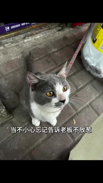 不吃洋葱 - 抖音