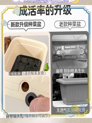 自吸水功能省心省力。种植盆适合多种蔬菜。家用方便清洁易打理。塑料花盆轻巧易移动。长方形节省阳台地方。种菜专用设计很贴心。提升种植成功率喜悦。美化环境享受自然。绿色生活从盆开始。#种菜盆 #阳台园艺 #自吸水设计 #家用种植