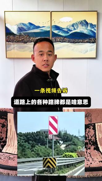 这条视频告诉你常见的道路标识都是什么意思? #行车安全知识 #创作者中心 #创作灵感