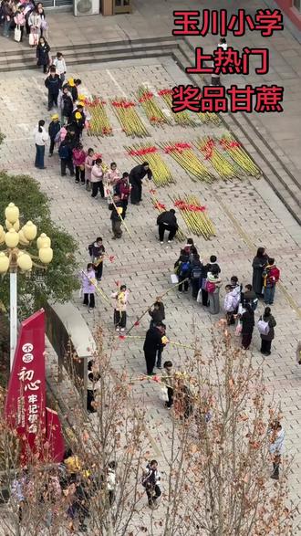 甘蔗
节节高升
经历磨难
终得甜蜜