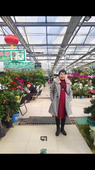 喜迎2026年,去花市买花了!