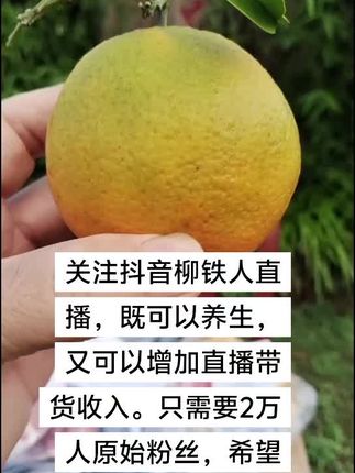 #优质农产品 #快来一起尝个鲜 #优质水果 #应季水果 #生态农业