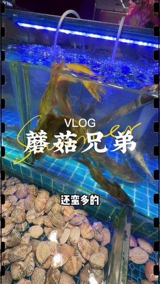 两百多种菜品,还是在市中心,这个价格真的是相当nice #自助餐的正确吃法 #自助餐 #长沙吃喝玩乐 #越夜越长沙 #长沙美食