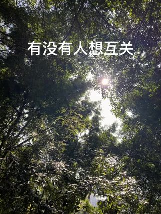 互关开橱窗的#抖音推广#互关 #