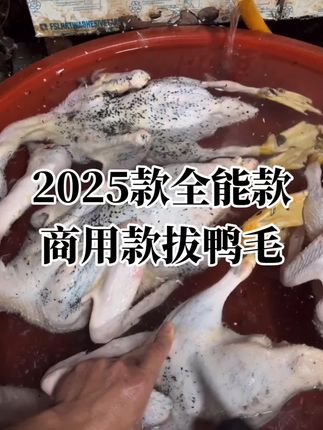 2025款商用款拔毛机,拔鸡鸭鹅选黑色的,一套光滑一套磨砂,两套锥头新手老手都能用,很牛,#强烈推荐 #拔鸭毛