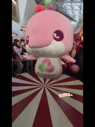 飞鸡,一只到处飞的宝宝鸡!飞得超级高而且还是一个高精力宝宝🐬
果然,粉色就是超级运动状态,十分符合豚设
#大湾鸡 #广州杂技团 #萌动奇迹 #喜洋洋乐融融 #全运会吉祥物