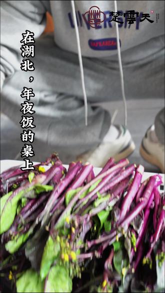 冬天整点正宗菜苔换换口味#菜苔 #菜苔家常做法 #湖北菜苔 #湖北菜