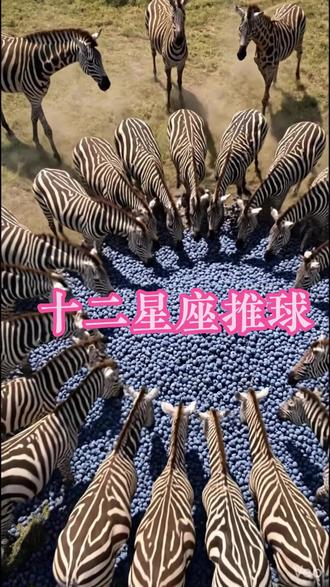 十二星座推球,你会选哪个?#ai创作浪潮计划