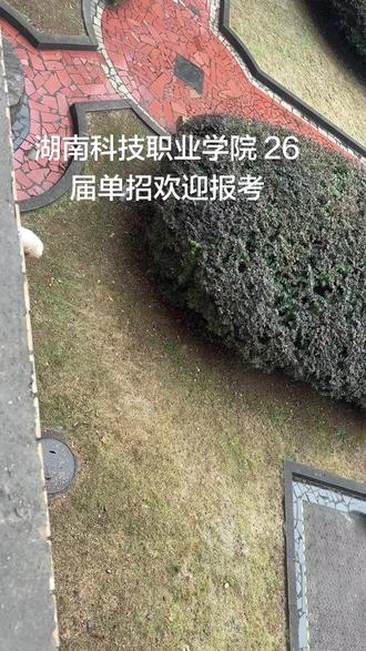 湖南科技职业学院#单招考试 #单招解答