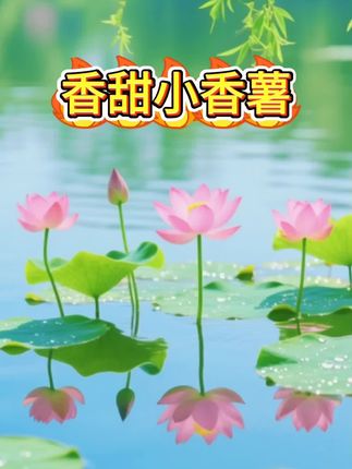 小香薯#软糯香甜 #口感特别好 #营养丰富 #优质农产品