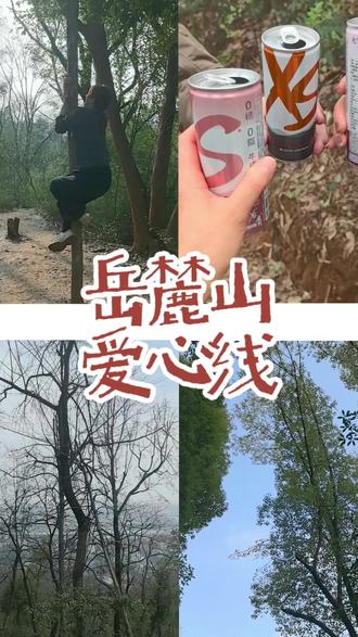 徒步新人小白初挑战#岳麓山爱心线 真的是啥都没有准备就出发了,新人友好路线,但是记得带补给啊#岳麓山徒步 #长沙户外 #长沙徒步 #没人疼就去爬山爬完浑身疼