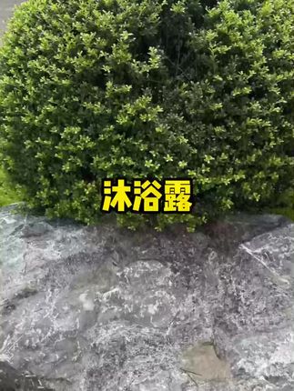 #沐浴露 #保湿  #好物推荐