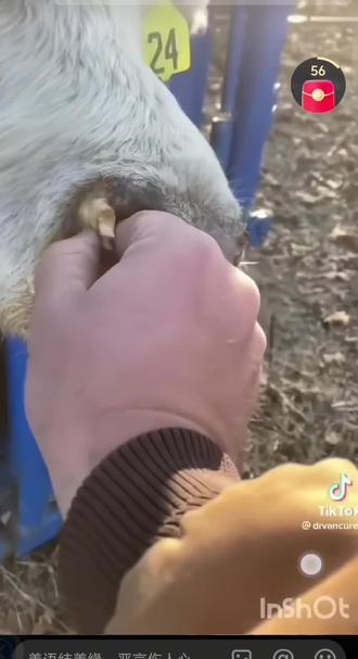 大家点赞,关注不迷路