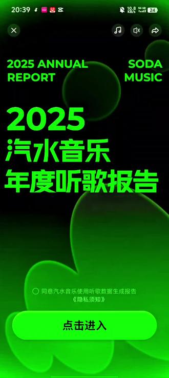 2025年汽水音乐总结报告#音乐