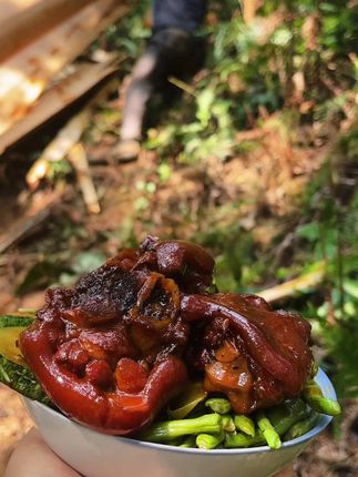 今天送饭有点晚了,看把蒋哥饿得,心疼坏了。简简单单红烧猪蹄就被治愈了#大山的孩子#农家美食