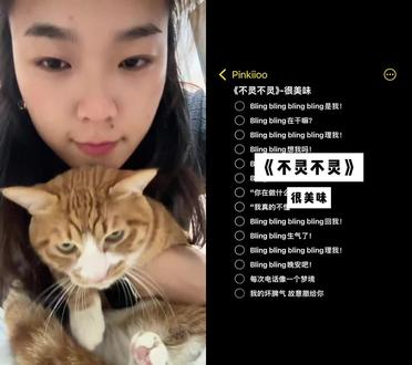 和 @Pinkiioo(伴奏版) 一起 #合拍 不是很配合#萌宠 #橘猫 #我和我的猫 #萌宠出道计划 @抖音小助手 @DOU+上热门 @DOU+小助手 @抖音创作小助手