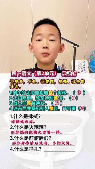 四年级下册语文(第2单元)《琥珀》#知识点总结#考试重点#四下语文#考点复习