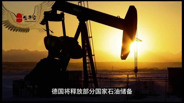 《德国经济部长证实:德国将释放部分国家石油储备,能源市场或受冲击》#德国 #石油 #经济 #能源 #头条