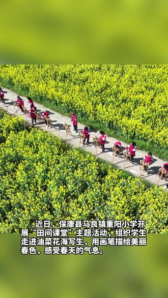 把春光装进画板!马良镇重阳小学“田间课堂”惊艳这个春天#踏春赏花 #田间课堂 #油菜花的季节