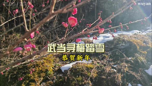 武当山上踏雪寻梅!#生活服务热点中心 #武当山 #踏雪寻梅 #榔梅祠 #武当山风景区