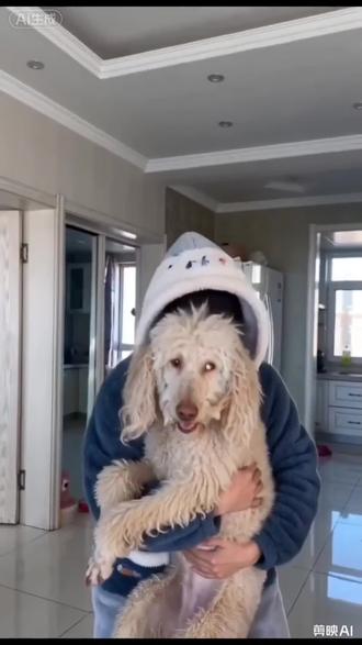 #随变一飞万物发射 #万物发射#剪映 #萌宠发射特效#万物发射特效教程。随变一飞万物发射特效教程来了