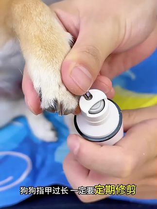 汪扑充电式LED强劲大功率大小型犬用品猫咪宠物磨甲器猫咪剪指甲