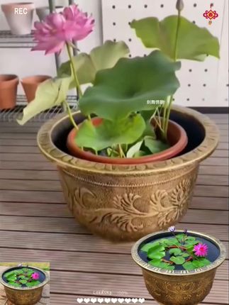 特大号花盆树脂加厚仿陶瓷铁树大花盆 超大果树阳台庭院种树花盆#花盆 #大花盆 #大花盆种树 #荷花盆 #树脂大花盆