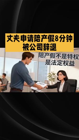 你如何看待请评价一下