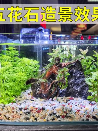 鱼缸铺底砂盆栽铺面水培彩石造景装饰#彩石造景装饰#五彩石#鱼缸造景彩石#小彩石#彩石