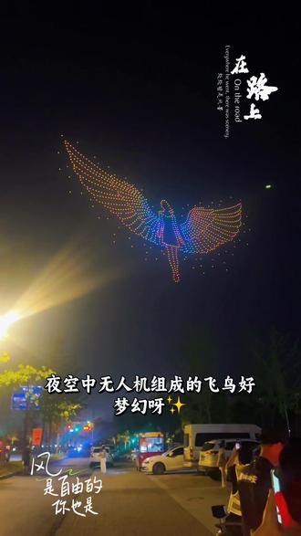 扬州枣林湾音乐节无人机表演