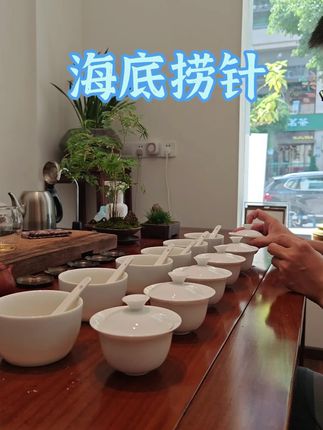 聊聊海底捞针审评感受#凤凰单丛 #茶知识