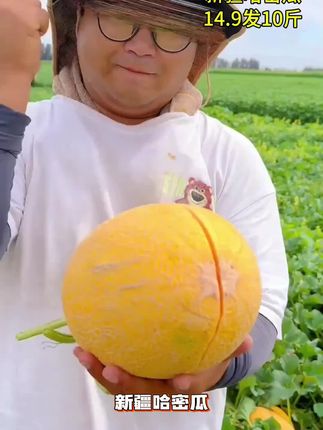 #最新热门话题 #新疆哈密瓜,金黄外皮裹着蜜瓤,咬一口脆甜迸发,汁水瞬间充盈唇齿,阳光的甘醇在舌尖炸开,每口都是大漠馈赠的清爽。